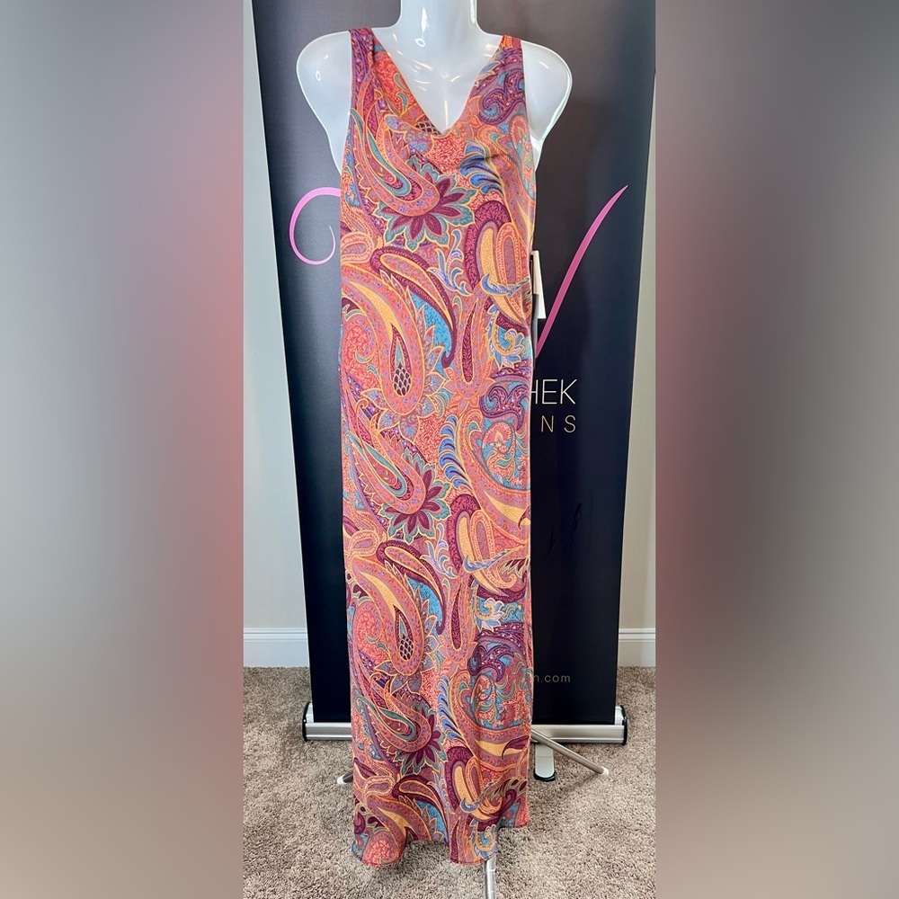 Positive Attitude Vintage Paisley Maxi Dress